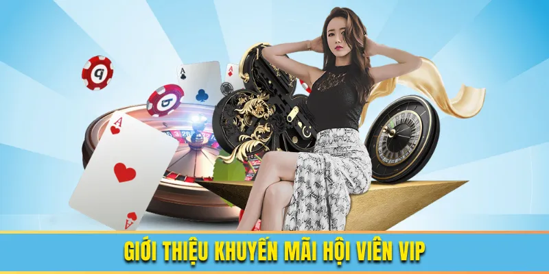 Giới thiệu về chương trình khuyến mãi hội viên VIP QH88